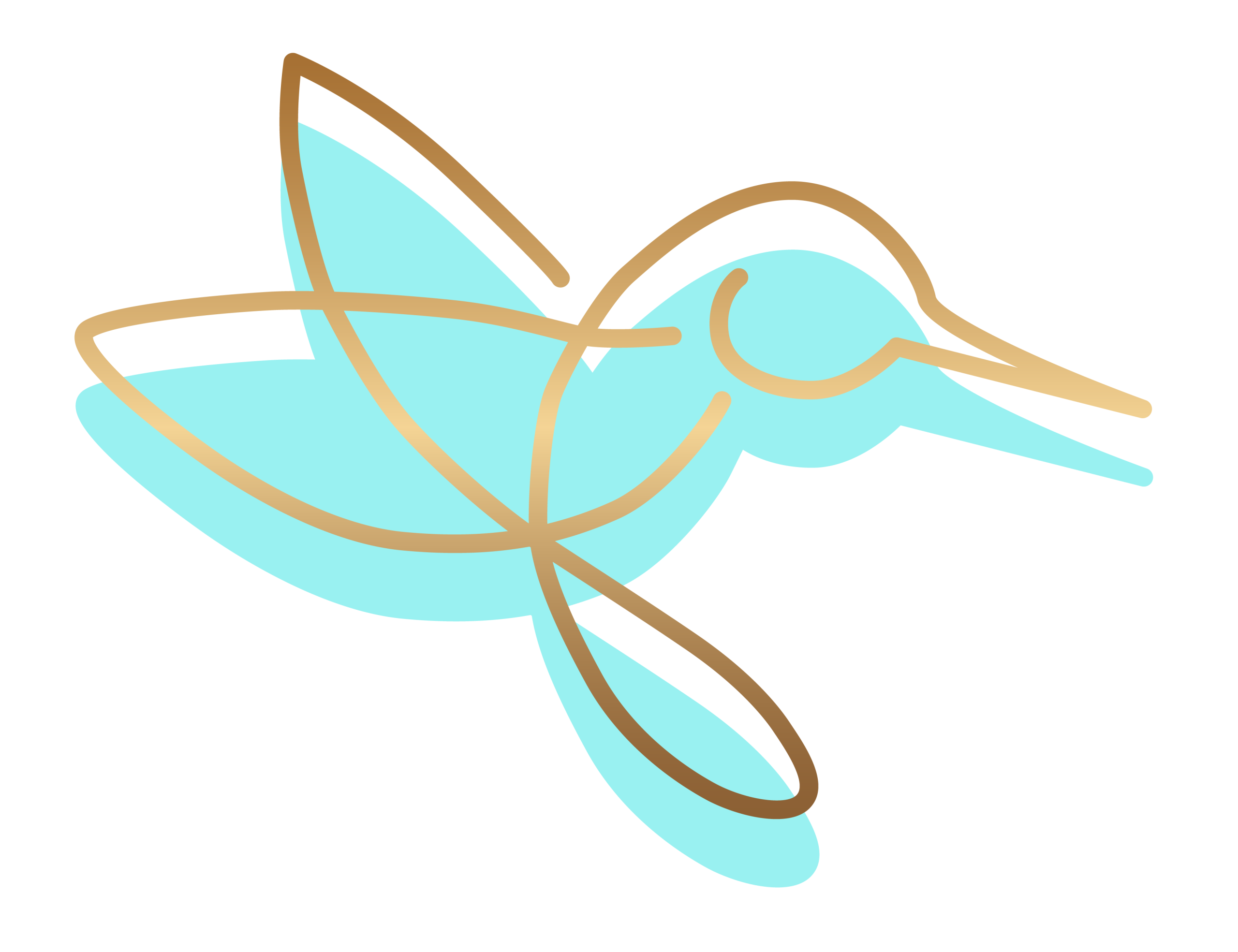 Colibri Logo _ Joha Quintero